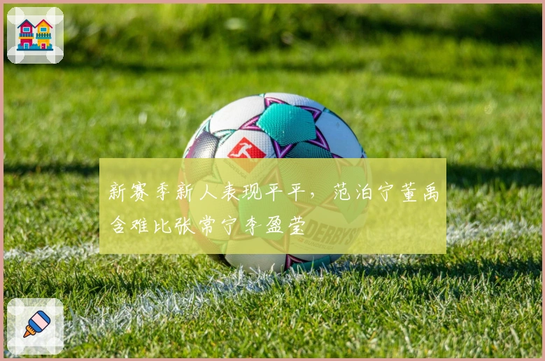 新赛季新人表现平平，范泊宁董禹含难比张常宁李盈莹