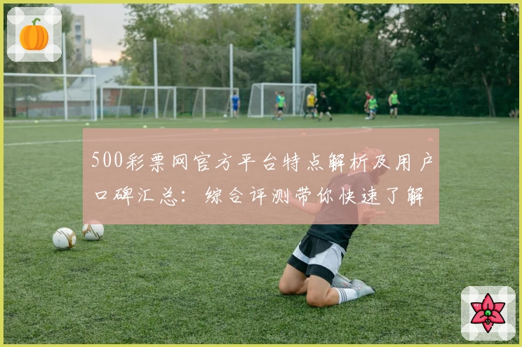 500彩票网官方平台特点解析及用户口碑汇总:综合评测带你快速了解