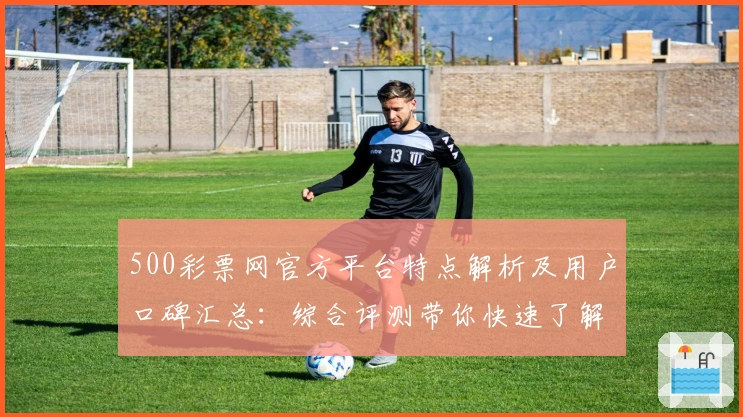 500彩票网官方平台特点解析及用户口碑汇总：综合评测带你快速了解
